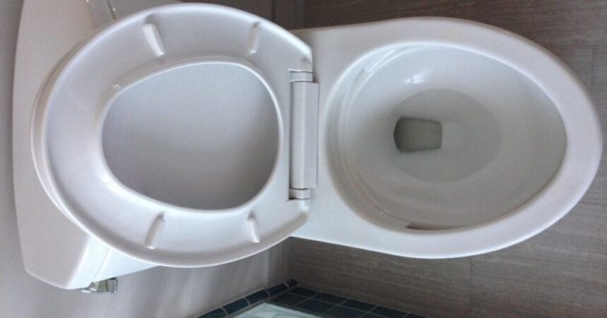 clean-toilet