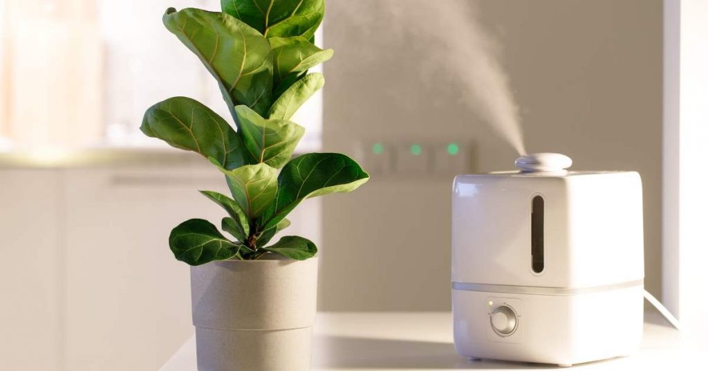 humidificateur